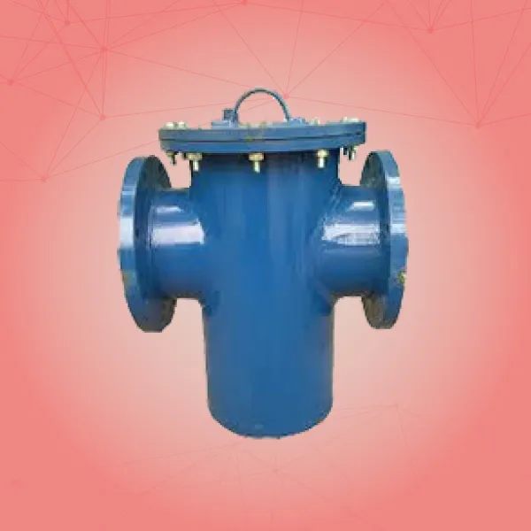 Basket Type Strainers