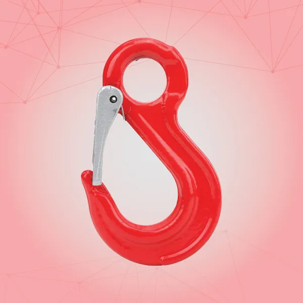 Lifting Hook Supplier in Ahmedabad